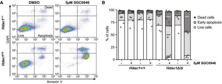 https://cdn.ncbi.nlm.nih.gov/pmc/blobs/5681/6627229/27d9fc4b72c2/EMBJ-38-e101564-g010.jpg