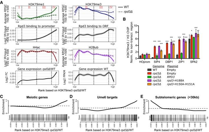 https://cdn.ncbi.nlm.nih.gov/pmc/blobs/5681/6627229/2c61979e26fb/EMBJ-38-e101564-g004.jpg