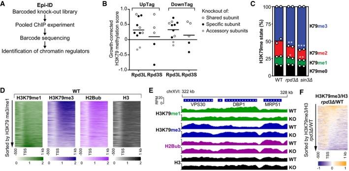https://cdn.ncbi.nlm.nih.gov/pmc/blobs/5681/6627229/949291337040/EMBJ-38-e101564-g002.jpg
