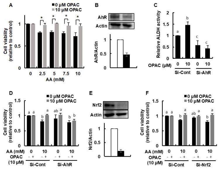 https://cdn.ncbi.nlm.nih.gov/pmc/blobs/5681/8836260/3b60354db180/ijms-23-01762-g005.jpg