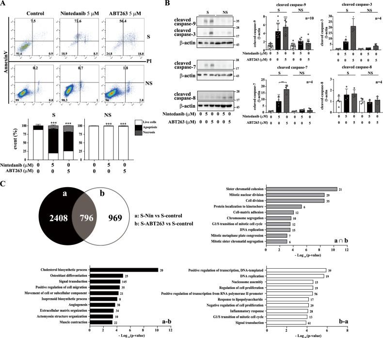 https://cdn.ncbi.nlm.nih.gov/pmc/blobs/5681/9440251/440123c849f3/41419_2022_5207_Fig2_HTML.jpg