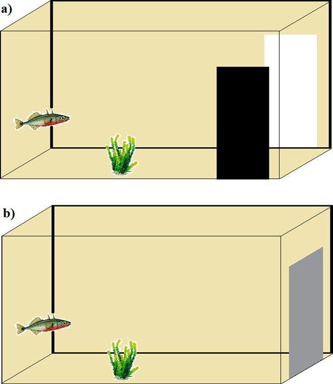 https://cdn.ncbi.nlm.nih.gov/pmc/blobs/5682/11150292/57b839180248/10071_2024_1876_Fig2_HTML.jpg