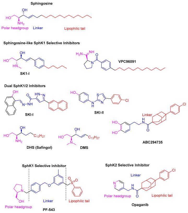https://cdn.ncbi.nlm.nih.gov/pmc/blobs/5684/11859825/6ea34d92e2d9/pharmaceuticals-18-00268-g001.jpg