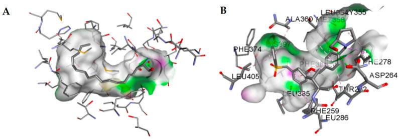 https://cdn.ncbi.nlm.nih.gov/pmc/blobs/5684/11859825/f3931c9c246d/pharmaceuticals-18-00268-g005.jpg