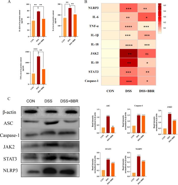 https://cdn.ncbi.nlm.nih.gov/pmc/blobs/5689/9769923/5b6cf3d73008/spectrum.03207-22-f007.jpg