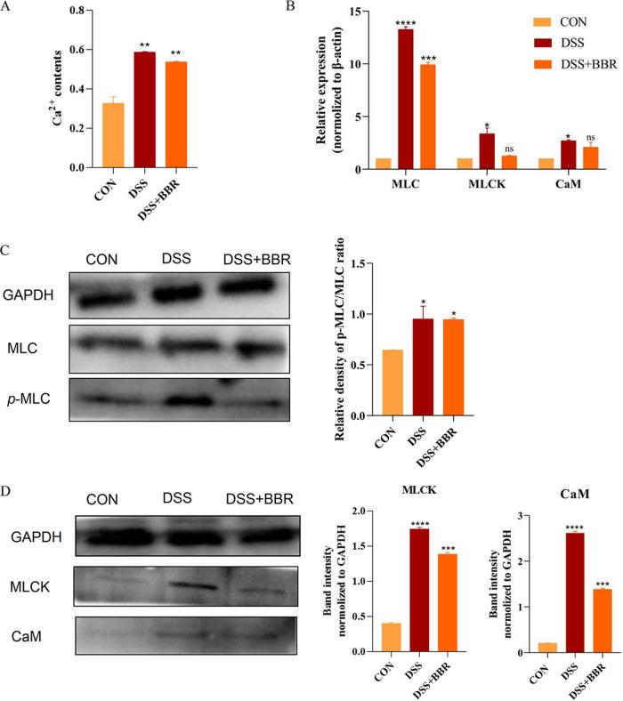 https://cdn.ncbi.nlm.nih.gov/pmc/blobs/5689/9769923/66bf4be4c0cb/spectrum.03207-22-f008.jpg