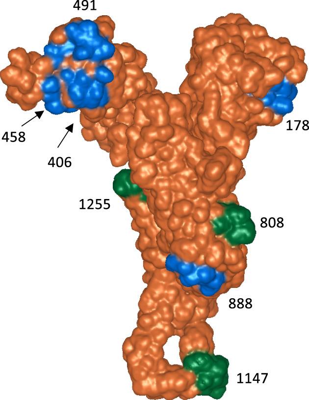 https://cdn.ncbi.nlm.nih.gov/pmc/blobs/568a/8014685/f58097fdeaff/TRF-61-1171-g001.jpg