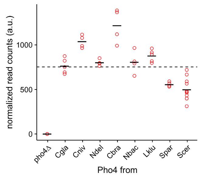 https://cdn.ncbi.nlm.nih.gov/pmc/blobs/568b/5446240/81388da26c45/elife-25157-fig3-figsupp1.jpg