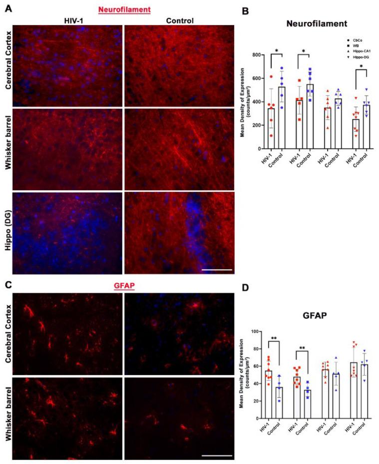 https://cdn.ncbi.nlm.nih.gov/pmc/blobs/568c/10892358/36a346d47142/pharmaceuticals-17-00149-g007.jpg