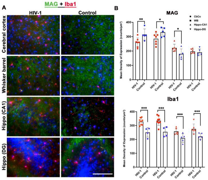 https://cdn.ncbi.nlm.nih.gov/pmc/blobs/568c/10892358/66d693a89ca1/pharmaceuticals-17-00149-g005.jpg