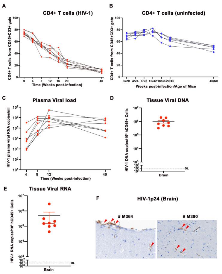 https://cdn.ncbi.nlm.nih.gov/pmc/blobs/568c/10892358/9c6067de1ccd/pharmaceuticals-17-00149-g002.jpg
