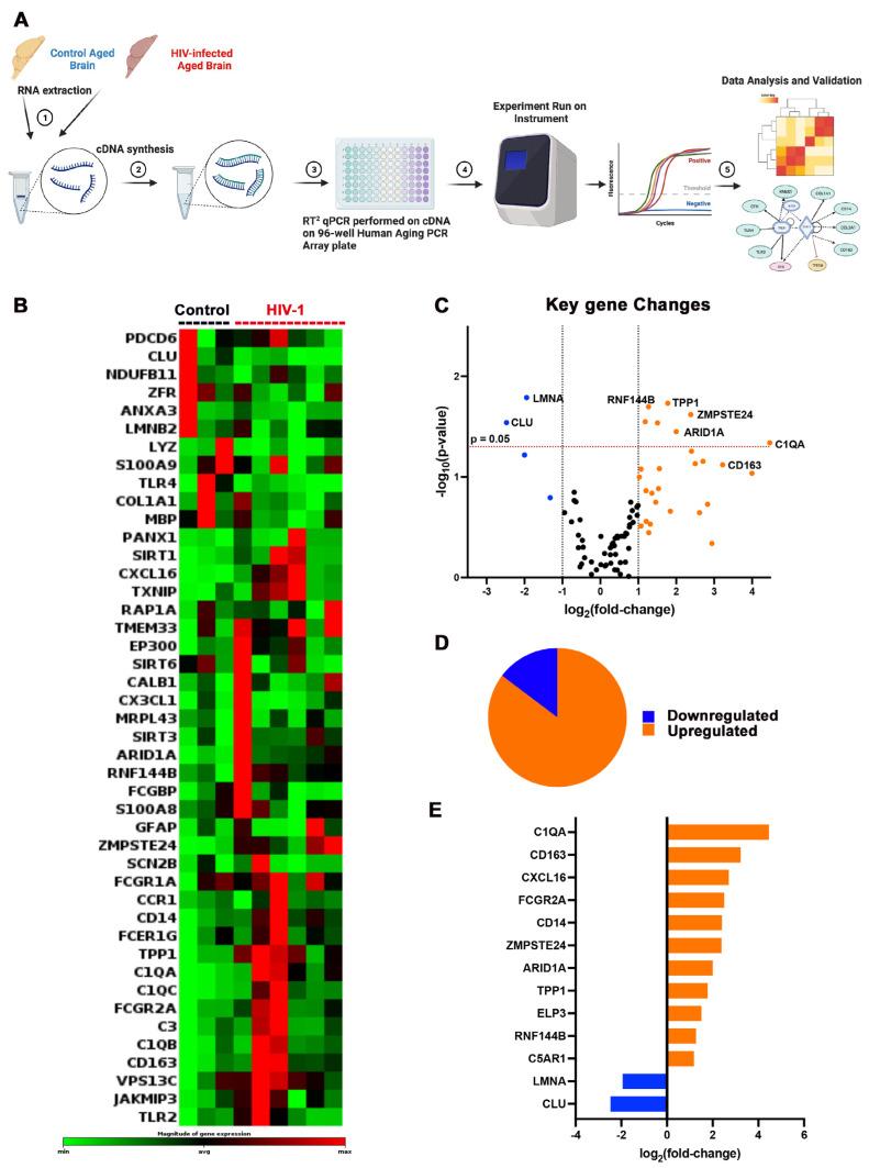 https://cdn.ncbi.nlm.nih.gov/pmc/blobs/568c/10892358/f1c90193f33a/pharmaceuticals-17-00149-g003.jpg