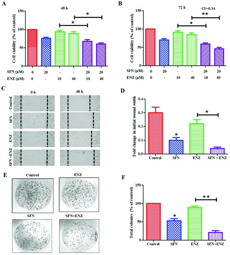 https://cdn.ncbi.nlm.nih.gov/pmc/blobs/568c/5780030/685bdf82f898/OR-38-05-2774-g01.jpg