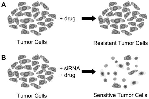 https://cdn.ncbi.nlm.nih.gov/pmc/blobs/5690/3070731/16de9362d145/pone.0018306.g002.jpg
