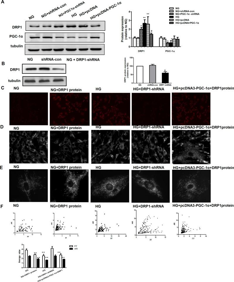 https://cdn.ncbi.nlm.nih.gov/pmc/blobs/5690/4390193/7ec0d73297a9/pone.0125176.g004.jpg