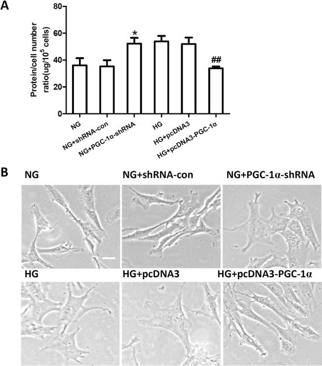 https://cdn.ncbi.nlm.nih.gov/pmc/blobs/5690/4390193/c4516904d364/pone.0125176.g005.jpg