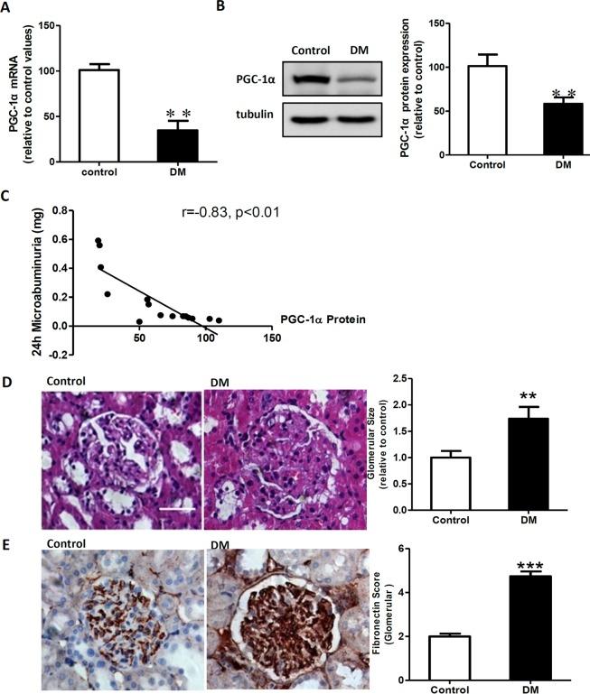 https://cdn.ncbi.nlm.nih.gov/pmc/blobs/5690/4390193/e3f724f919da/pone.0125176.g001.jpg