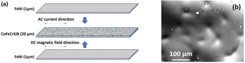 https://cdn.ncbi.nlm.nih.gov/pmc/blobs/5691/8540889/fb08f8bee42a/sensors-21-06728-g001.jpg