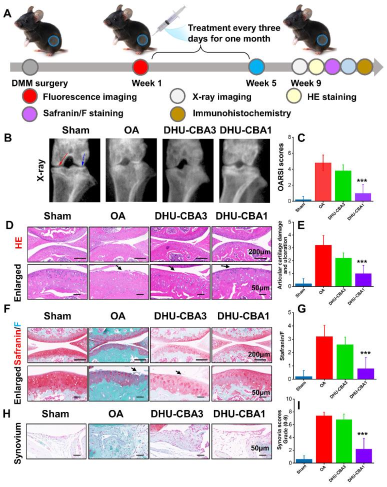 https://cdn.ncbi.nlm.nih.gov/pmc/blobs/5694/11234266/074593b557c8/thnov14p3900g005.jpg
