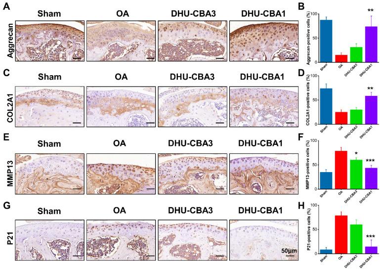 https://cdn.ncbi.nlm.nih.gov/pmc/blobs/5694/11234266/10e609d6723f/thnov14p3900g006.jpg