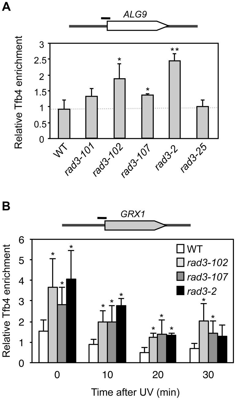 https://cdn.ncbi.nlm.nih.gov/pmc/blobs/5696/4263401/71e72726b99d/pgen.1004859.g003.jpg