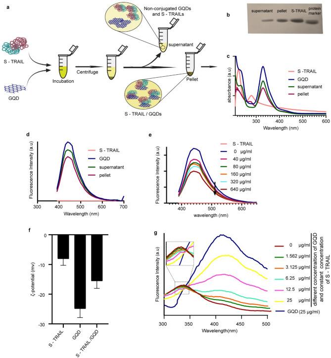 https://cdn.ncbi.nlm.nih.gov/pmc/blobs/5696/8991220/c45f86c1f472/41598_2022_9660_Fig4_HTML.jpg