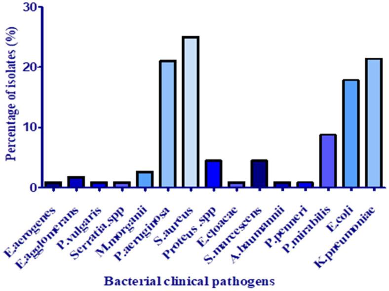 https://cdn.ncbi.nlm.nih.gov/pmc/blobs/5696/9598771/1750bc22a633/antibiotics-11-01317-g001.jpg