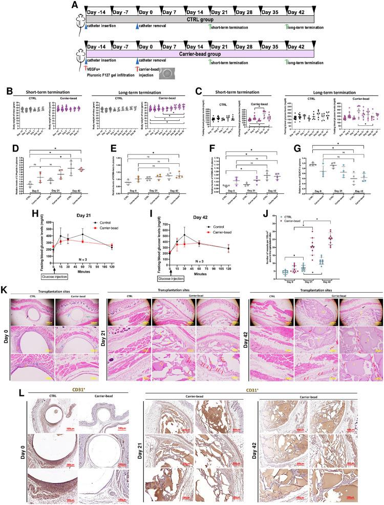 https://cdn.ncbi.nlm.nih.gov/pmc/blobs/5697/11781742/f14a44324737/pone.0318204.g004.jpg