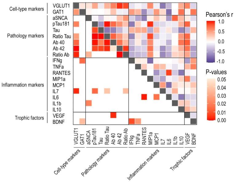 https://cdn.ncbi.nlm.nih.gov/pmc/blobs/5697/9777473/832f339d57e8/cells-11-04033-g006.jpg