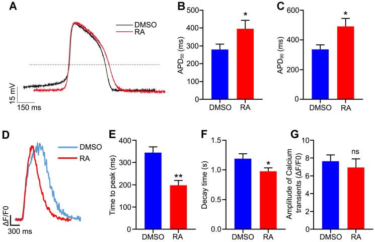 https://cdn.ncbi.nlm.nih.gov/pmc/blobs/5698/7449904/743fb5e40c8a/thnov10p9686g006.jpg