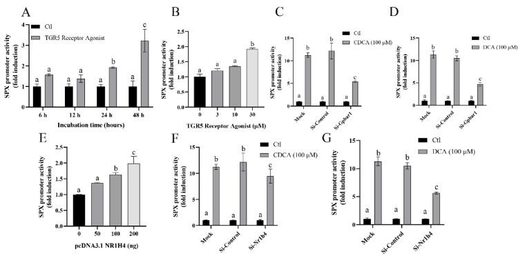 https://cdn.ncbi.nlm.nih.gov/pmc/blobs/569a/9316865/00a1f62daae7/cells-11-02159-g003.jpg
