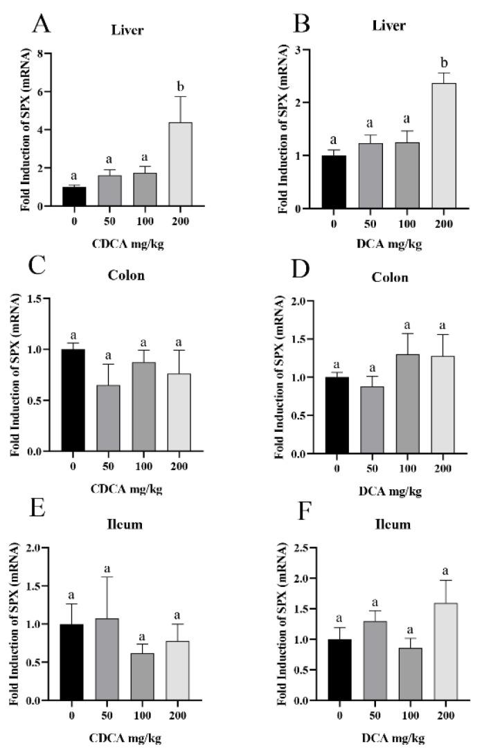 https://cdn.ncbi.nlm.nih.gov/pmc/blobs/569a/9316865/05c65726a572/cells-11-02159-g002.jpg
