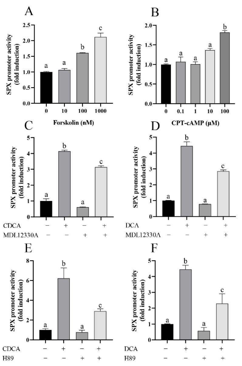 https://cdn.ncbi.nlm.nih.gov/pmc/blobs/569a/9316865/19ee0e5272e2/cells-11-02159-g004.jpg