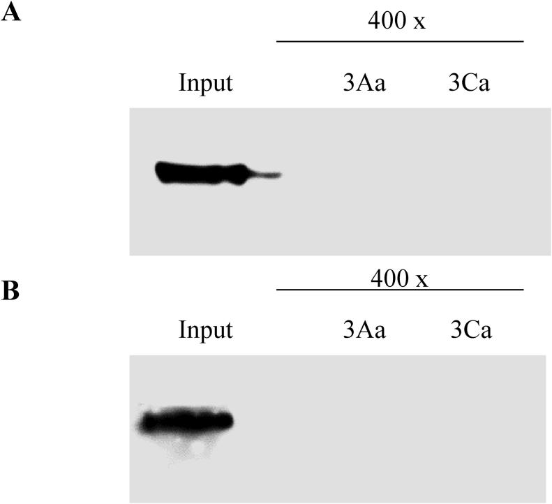 https://cdn.ncbi.nlm.nih.gov/pmc/blobs/569b/5090047/5d3b7b9fd9ab/figs2.jpg