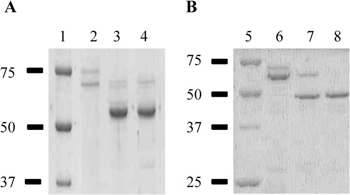 https://cdn.ncbi.nlm.nih.gov/pmc/blobs/569b/5090047/76c48bc39150/figs1.jpg