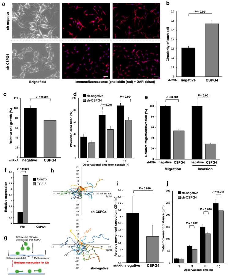 https://cdn.ncbi.nlm.nih.gov/pmc/blobs/569c/10855983/5bebfb558fad/ijms-25-01626-g003.jpg
