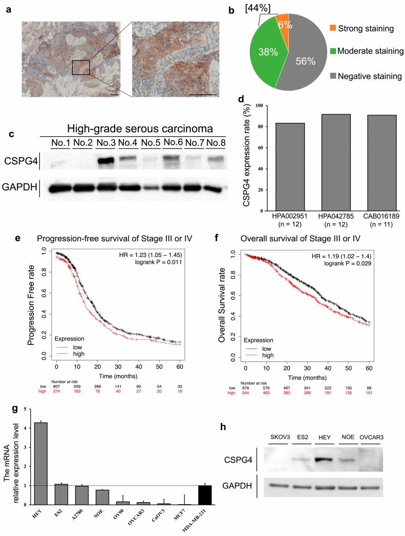 https://cdn.ncbi.nlm.nih.gov/pmc/blobs/569c/10855983/ea0febcff16b/ijms-25-01626-g001.jpg