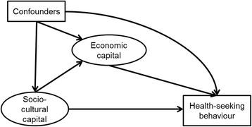 https://cdn.ncbi.nlm.nih.gov/pmc/blobs/569c/4307186/b088d56c3add/12913_2014_652_Fig2_HTML.jpg
