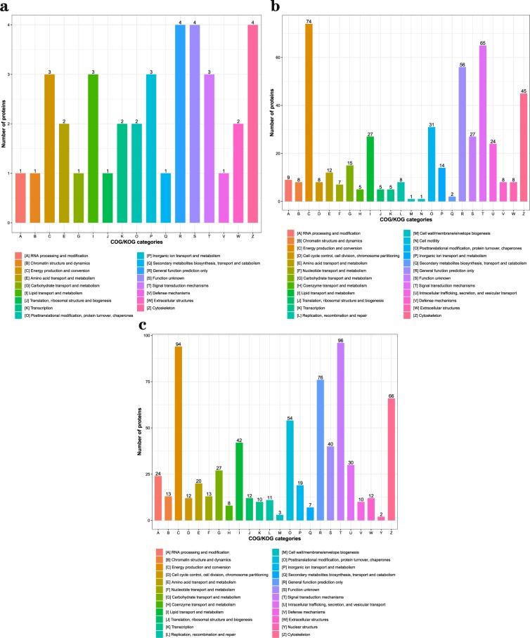 https://cdn.ncbi.nlm.nih.gov/pmc/blobs/569e/7000794/6ac9af989e20/41598_2020_58349_Fig4_HTML.jpg