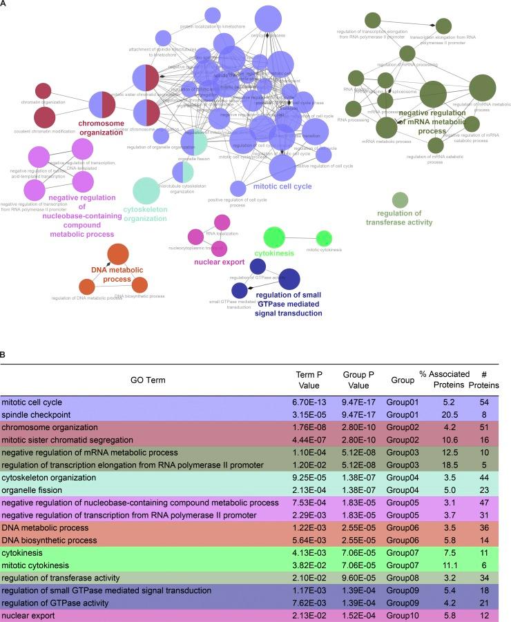 https://cdn.ncbi.nlm.nih.gov/pmc/blobs/569f/6446857/360c27500b45/JCB_201810058_Fig5.jpg