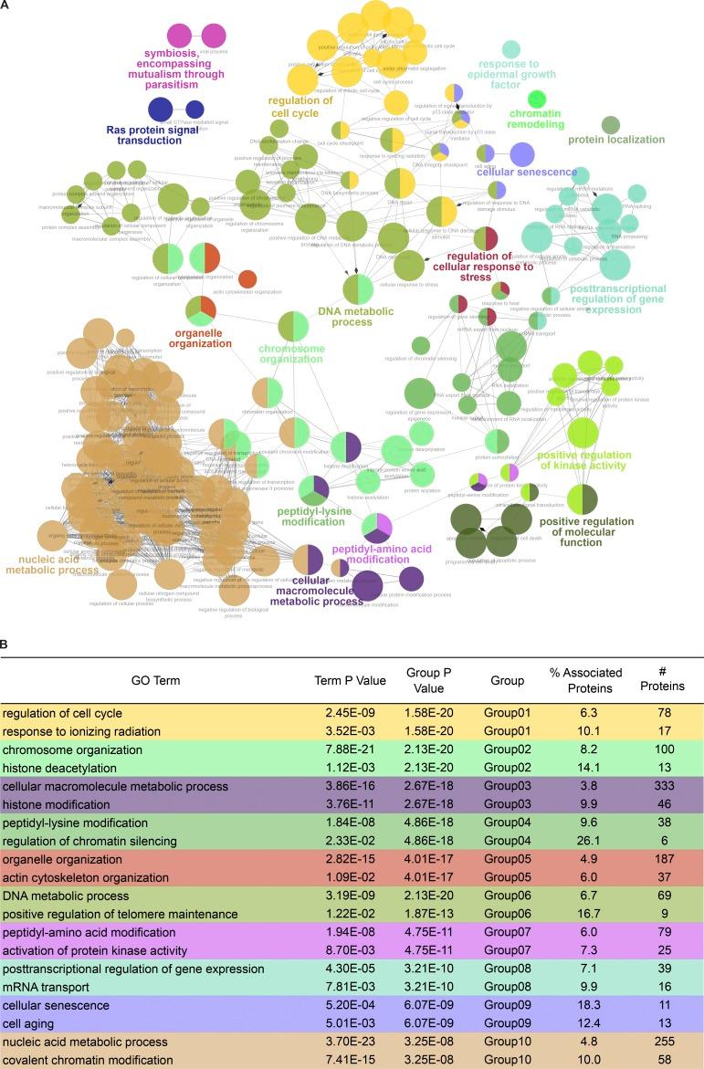 https://cdn.ncbi.nlm.nih.gov/pmc/blobs/569f/6446857/bcefe29fcd0a/JCB_201810058_Fig4.jpg
