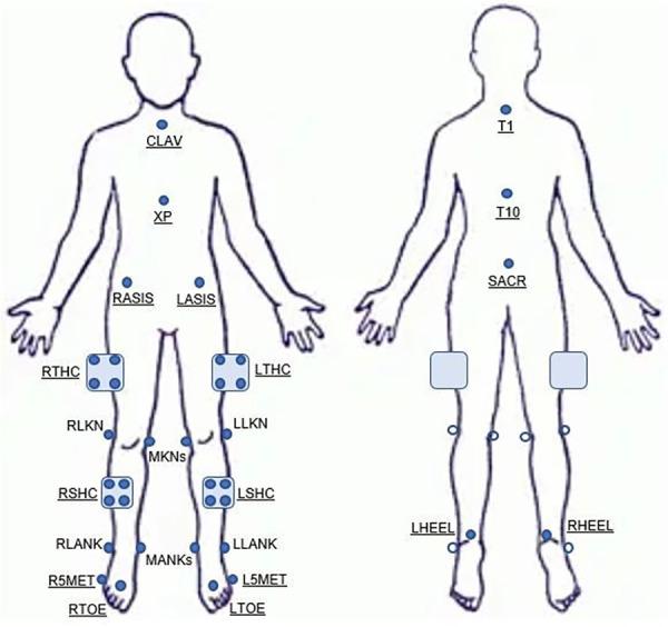 https://cdn.ncbi.nlm.nih.gov/pmc/blobs/56a0/10978775/516df88941d2/fspor-06-1352286-g003.jpg