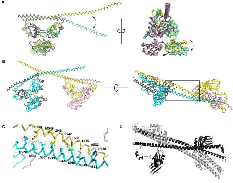 https://cdn.ncbi.nlm.nih.gov/pmc/blobs/56a0/11754644/1ddfdc0eb6d4/gkae1198fig2.jpg