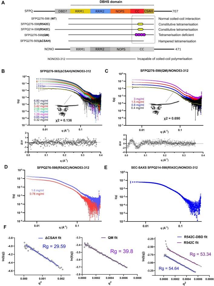 https://cdn.ncbi.nlm.nih.gov/pmc/blobs/56a0/11754644/205cbc7836a8/gkae1198fig3.jpg