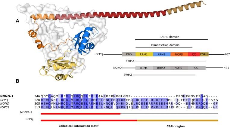 https://cdn.ncbi.nlm.nih.gov/pmc/blobs/56a0/11754644/7bd04f1af077/gkae1198fig1.jpg