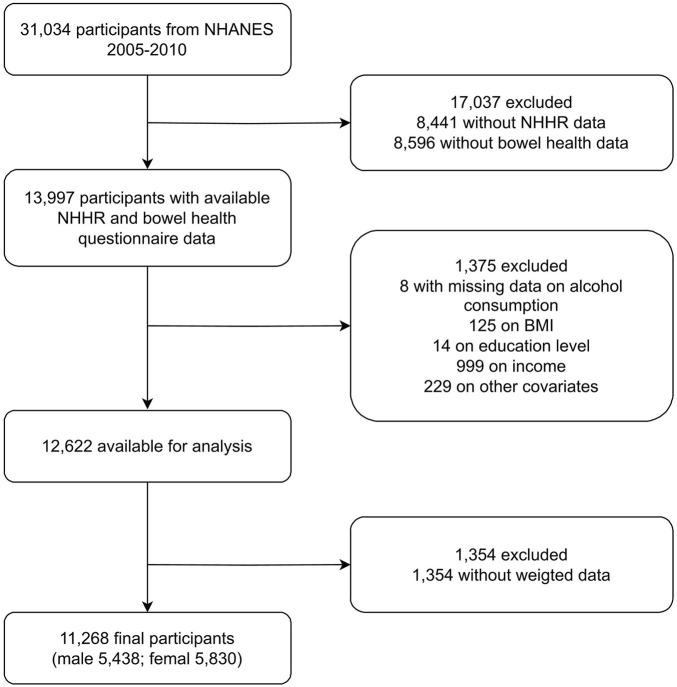 https://cdn.ncbi.nlm.nih.gov/pmc/blobs/56a1/12058776/4b59f024fa26/fphys-16-1501171-g001.jpg