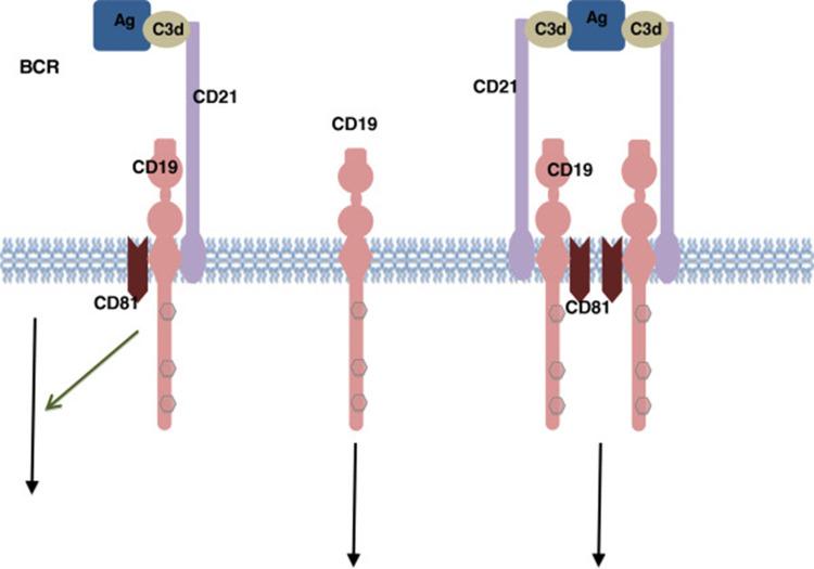 https://cdn.ncbi.nlm.nih.gov/pmc/blobs/56a3/10364833/3ef3011364f5/OTT-16-617-g0001.jpg