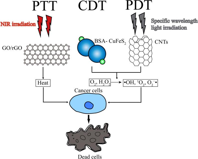 https://cdn.ncbi.nlm.nih.gov/pmc/blobs/56a3/8165984/5829e4b17ab0/13045_2021_1096_Fig2_HTML.jpg