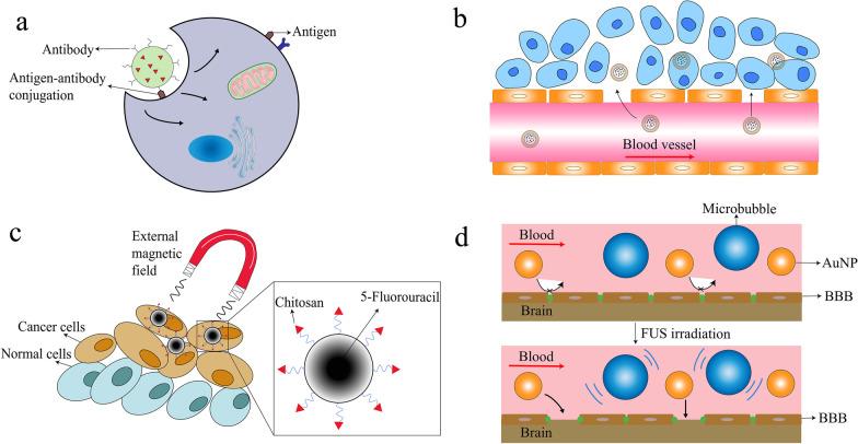 https://cdn.ncbi.nlm.nih.gov/pmc/blobs/56a3/8165984/9b087da08784/13045_2021_1096_Fig3_HTML.jpg