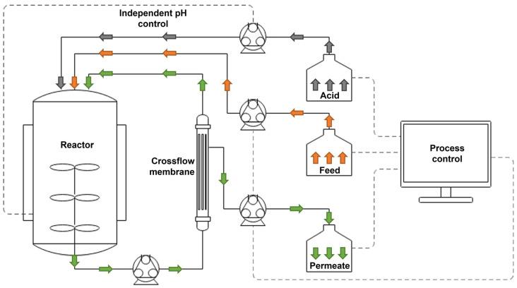 https://cdn.ncbi.nlm.nih.gov/pmc/blobs/56a5/8945770/2c324240b11d/bioengineering-09-00122-g001.jpg